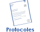 Procotoles